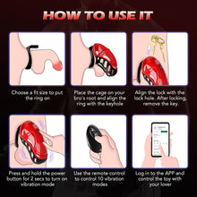 Load image into Gallery viewer, Chastity Cage Vibrator Sex Toýs for Man - Male Chastity Devices Sissy Cock Cage Sex Toyscouples for Couples with 10 Vibrations, BDSM Bondage Penis Exercise Train Adult Toy with 5 Sizes Ring 2 Keys
